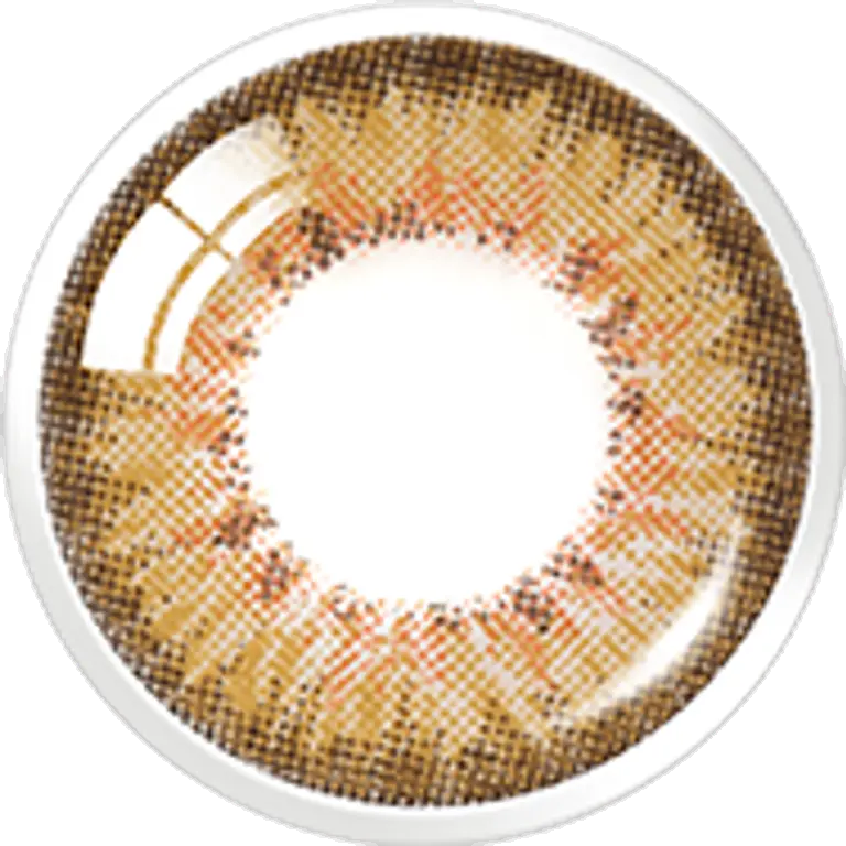 프렌치3콘 브라운